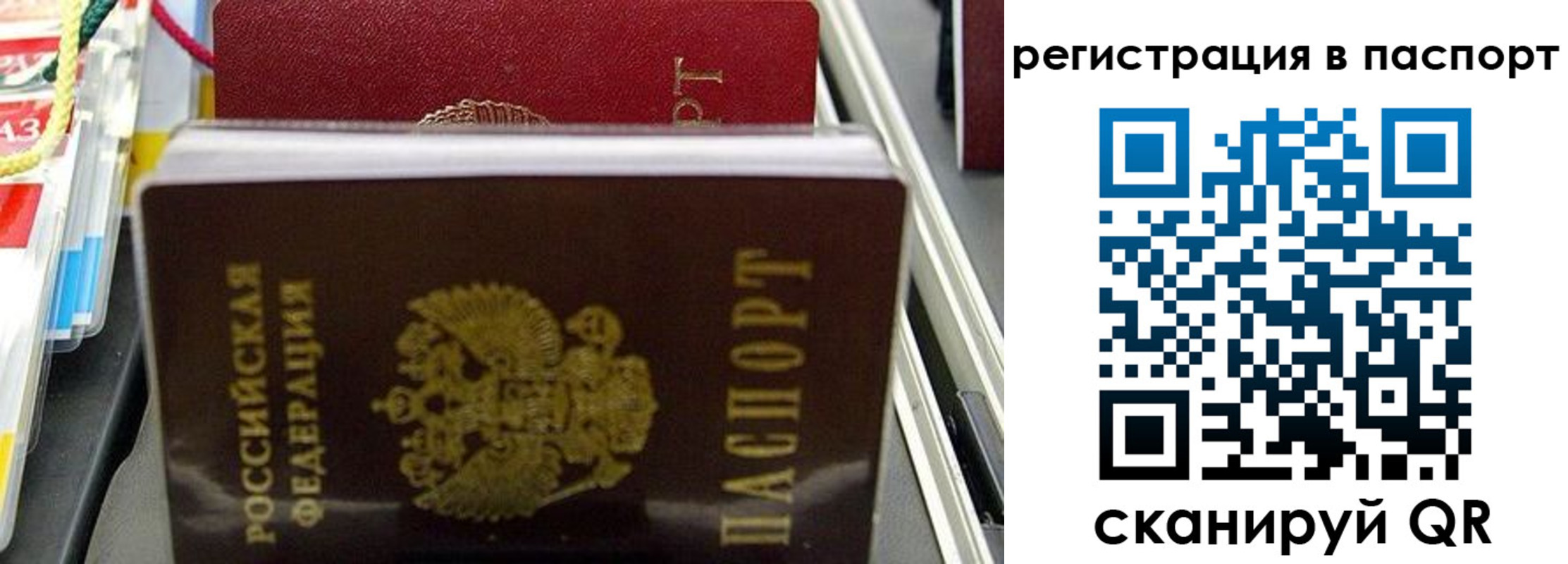 прописка для школы в Бронницах
